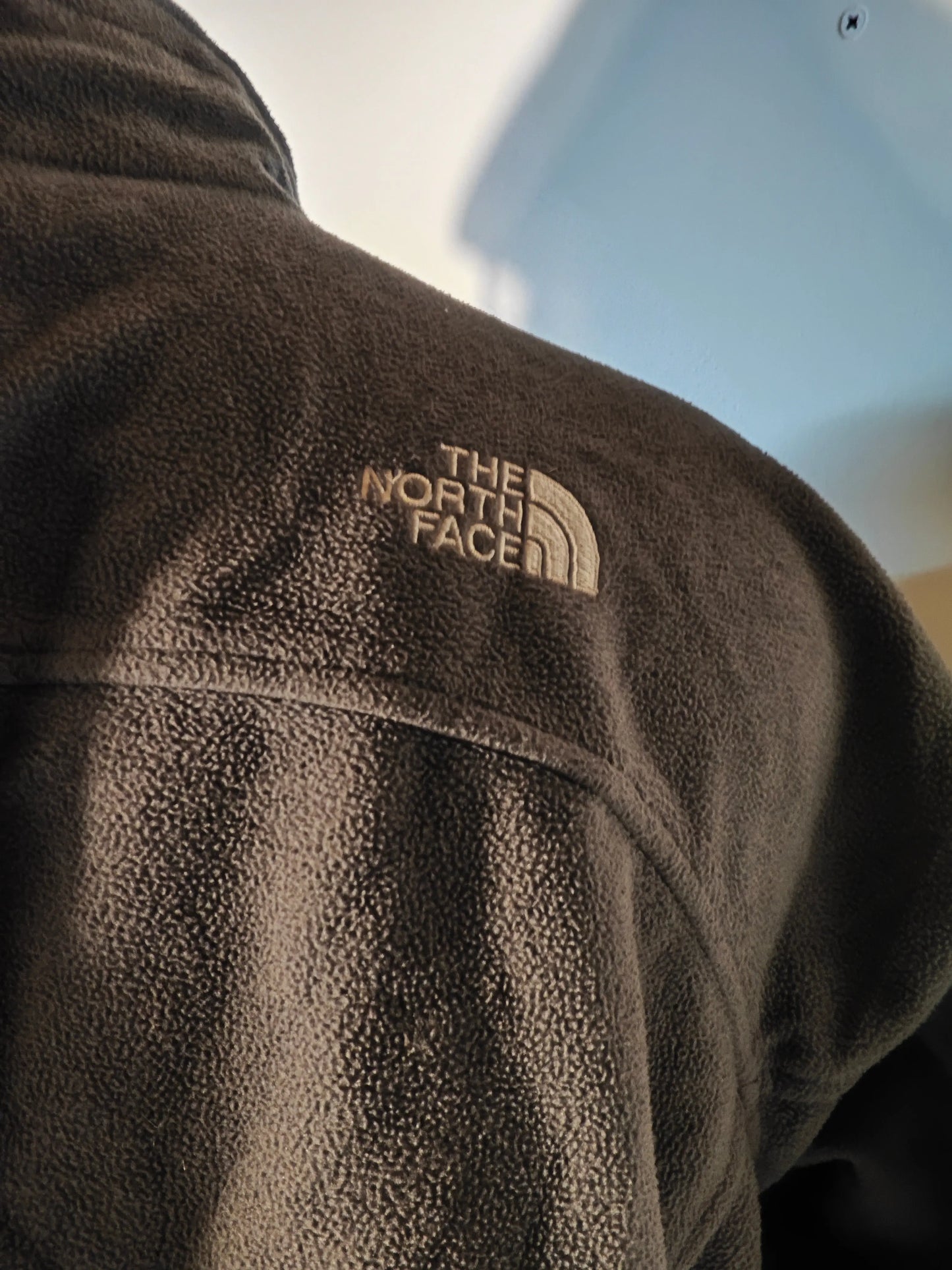 Polaire marron en Windwall de The North Face, avec logo brodé sur l'épaule, texture molletonnée.